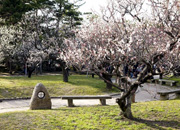 白山公園